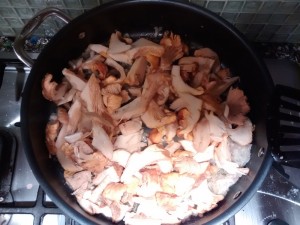 Cleaned, chopped, and ready to cook. Without perseverance, no yummy mushrooms!
